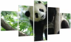Mivali Tablou - Panda in copac, din cinci bucăți 125x70 cm (V023757V12570)