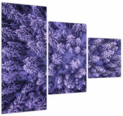 Mivali Tablou cu copacii înzăpeziți (cu ceas), din trei bucăți 90x70 cm cu ceas (V021148V9070C)
