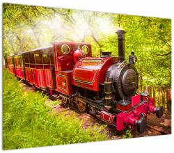 Mivali Tablou - Tren cu aburi, dintr-o bucată 100x70 cm (V023340V10070)