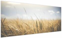 Mivali Tablou cu grâne, dintr-o bucată 250x125 cm (V021378V250125)