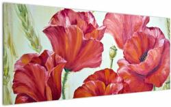 Mivali Tablou - Mac - flori, dintr-o bucată 120x50 cm (V023305V12050)