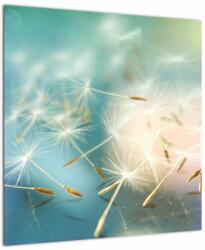 Mivali Tablou - norocuri, dintr-o bucată 50x50 cm (V020669V5050)