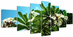 Mivali Tablou - Plumeria, din șapte bucăți 210x100 cm (V021519V210100)
