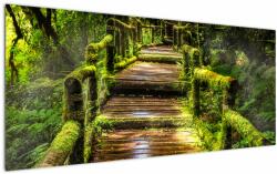 Mivali Tablou cu scări într-o pădure tropicală, dintr-o bucată 120x50 cm (V020941V12050)