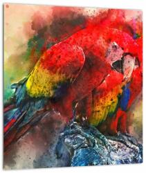 Mivali Tablou - Papagali roșii ara, dintr-o bucată 30x30 cm (V023005V3030)