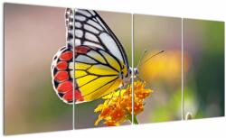 Mivali Tablou - Fluture pe floare, din patru bucăți 160x80 cm (V022330V16080)