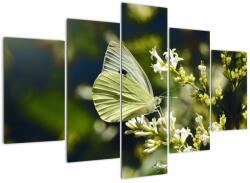 Mivali Tablou cu fluture, din cinci bucăți 150x105 cm (V021360V150105)