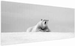 Mivali Tablou - Urs polar, alb-negru, dintr-o bucată 250x125 cm (V024131V250125)