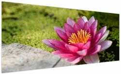 Mivali Tablou - Lotus, dintr-o bucată 250x125 cm (V021330V250125)