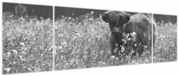 Mivali Tablou - Vacă scoțiană 5, alb-negru, din trei bucăți 170x50 cm (V024132V17050)