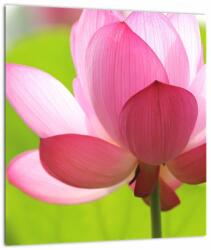 Mivali Tablou cu flori de lotus, dintr-o bucată 30x30 cm (V021697V3030)