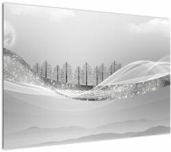 Mivali Tablou - Peisaj argintiu, dintr-o bucată 100x70 cm (V022838V10070)