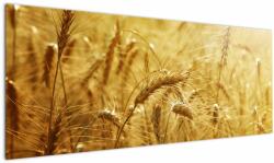 Mivali Tablou - Spice de cereale, dintr-o bucată 145x58 cm (V022459V14558)
