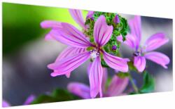 Mivali Tablou cu floarea detailat, dintr-o bucată 200x100 cm (V020300V200100)