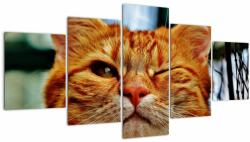 Mivali Tablou - Pisica suspicioasă, din cinci bucăți 150x80 cm (V022588V150805PCS)