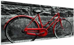 Mivali Tablou - Bicicleta istorică, dintr-o bucată 250x125 cm (V021989V250125)