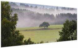 Mivali Tablou - Lunca cu copac, dintr-o bucată 200x100 cm (V022721V200100)