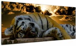 Mivali Tablou tigrul dormind, dintr-o bucată 100x40 cm (V020408V10040)
