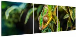 Mivali Tablou cu cameleon, din trei bucăți 150x50 cm (V021236V15050)