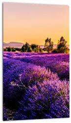 Mivali Tablou cu câmp de lavanda, dintr-o bucată 20x30 cm (V020540V2030)