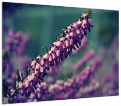 Mivali Tablou pe sticlă cu lavanda, dintr-o bucată 70x50 cm pe sticlă (V020539V7050GD)