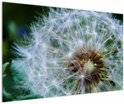 Mivali Tabloul cu păpădie desflorit, dintr-o bucată 120x80 cm (V020006V12080)