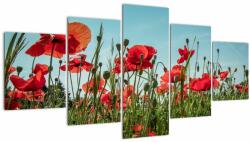 Mivali Tablou - Pe câmpul cu maci, din cinci bucăți 150x80 cm (V021727V150805PCS)