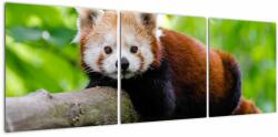 Mivali Tablou cu panda roșie, din trei bucăți 120x40 cm (V020455V12040)
