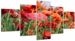Mivali Tablou din câmp cu maci, din cinci bucăți 150x80 cm (V021722V150805PCS)