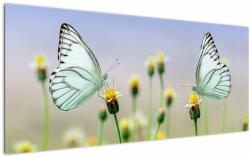 Mivali Tablou cu fluture pe floare, dintr-o bucată 120x50 cm (V021248V12050)