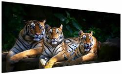 Mivali Tablou - Tigrii frați, dintr-o bucată 250x125 cm (V022849V250125)