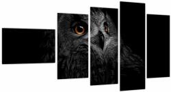 Mivali Tablou - Bufniță, ilustrație, din cinci bucăți 110x60 cm (V023618V11060)