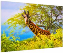 Mivali Tablou - Girafa în Africa, dintr-o bucată 90x60 cm (V023370V9060)