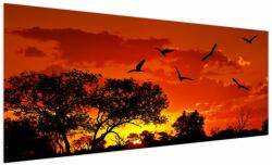 Mivali Tablou cu păsări în apus de soare, dintr-o bucată 250x125 cm (V021911V250125)