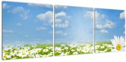 Mivali Tablou cu luncă înflorită cu margarete, din trei bucăți 120x40 cm (V021906V12040)