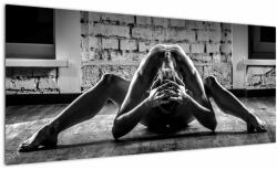 Mivali Tablou - Nud artistic al unei femei, dintr-o bucată 100x40 cm (V023495V10040)