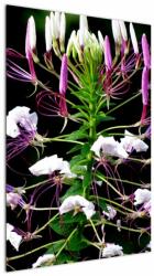 Mivali Tablou cu floare, dintr-o bucată 60x90 cm (V021256V6090)