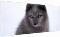 Mivali Tablou cu vulpe polară, dintr-o bucată 200x100 cm (V021000V200100)