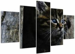 Mivali Tablou cu pisicuța, din cinci bucăți 150x105 cm (V020637V150105)