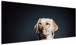 Mivali Tablou cu labrador, dintr-o bucată 145x58 cm (V021153V14558)
