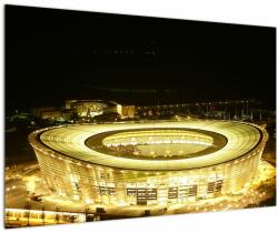 Mivali Tablou - stadion de fotbal, dintr-o bucată 90x60 cm (V020386V9060)
