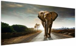 Mivali Tablou cu elefant, dintr-o bucată 250x125 cm (V022219V250125)