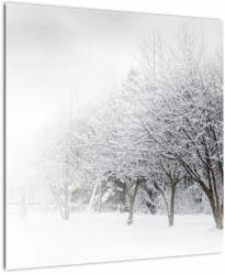 Mivali Tablou - Aleea de iarnă, dintr-o bucată 50x50 cm (V023265V5050)