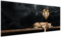 Mivali Tablou - Leu și leoaică, dintr-o bucată 250x125 cm (V022960V250125)