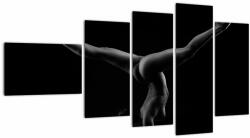 Mivali Tablou - Gimnasta nud în întuneric, din cinci bucăți 110x60 cm (V023080V11060)