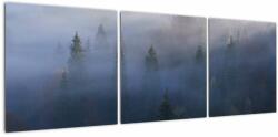 Mivali Tablou - Pădure în ceță, Carpați, Ucraina, din trei bucăți 120x40 cm (V023077V12040)