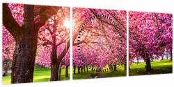 Mivali Tablou - Cireși înfloriți, Hurd Park, Dover, New Jersey (cu ceas), din trei bucăți 90x30 cm cu ceas (V022582V9030C)