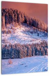 Mivali Tablou - Peisaj de iarnă, dintr-o bucată 30x40 cm (V023219V3040)