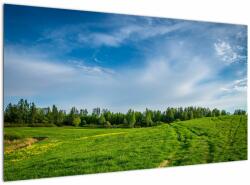 Mivali Tablou cu luncă, dintr-o bucată 120x70 cm (V020322V12070)