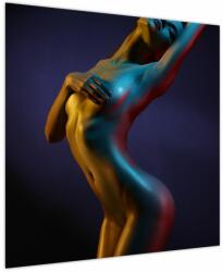 Mivali Tablou - Nud feminin, dintr-o bucată 70x70 cm (V023845V7070)